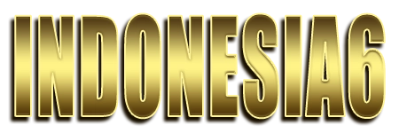 INDONESIA6 Logo
